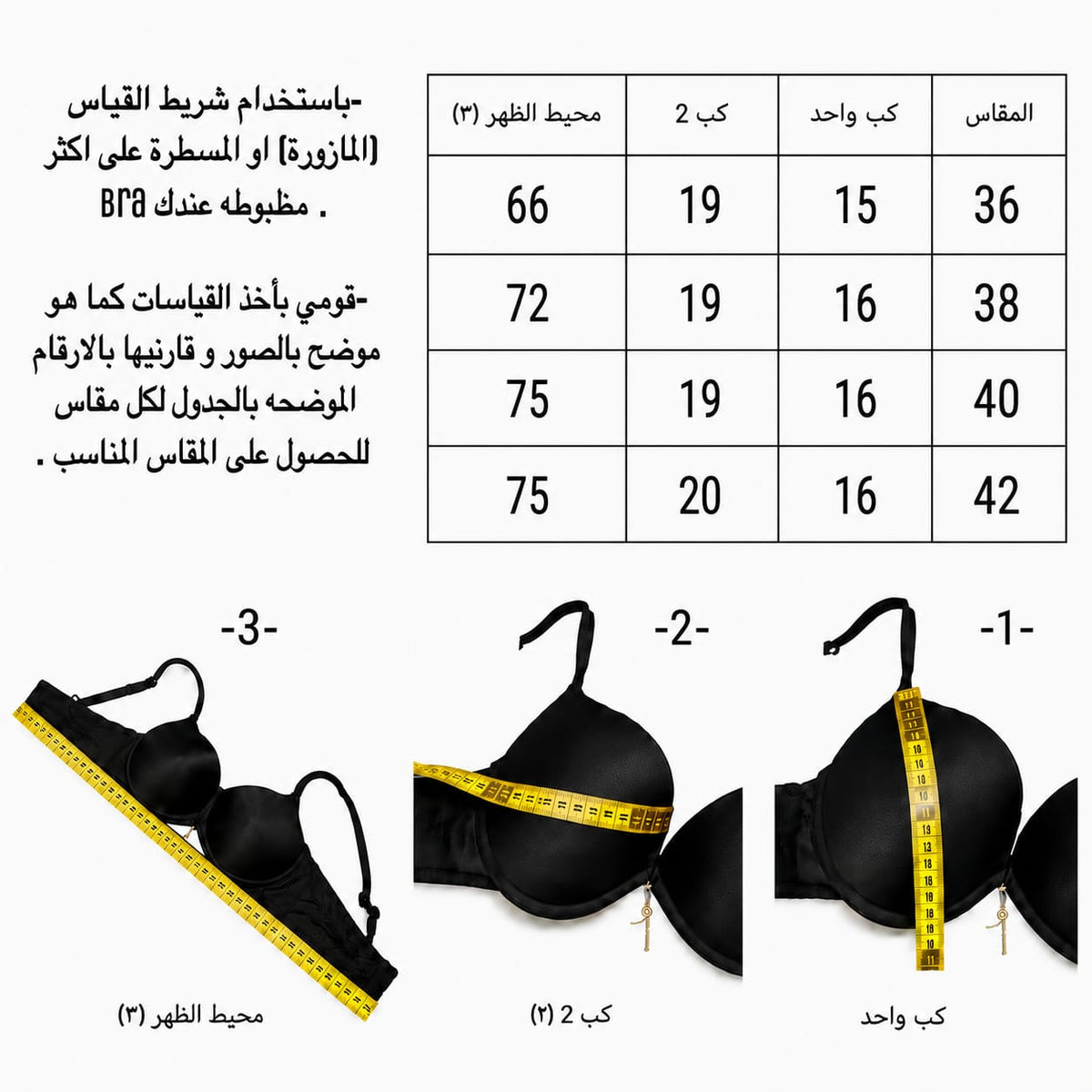 Lace push up bra B size chart